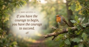 Bird quotes for instagram
